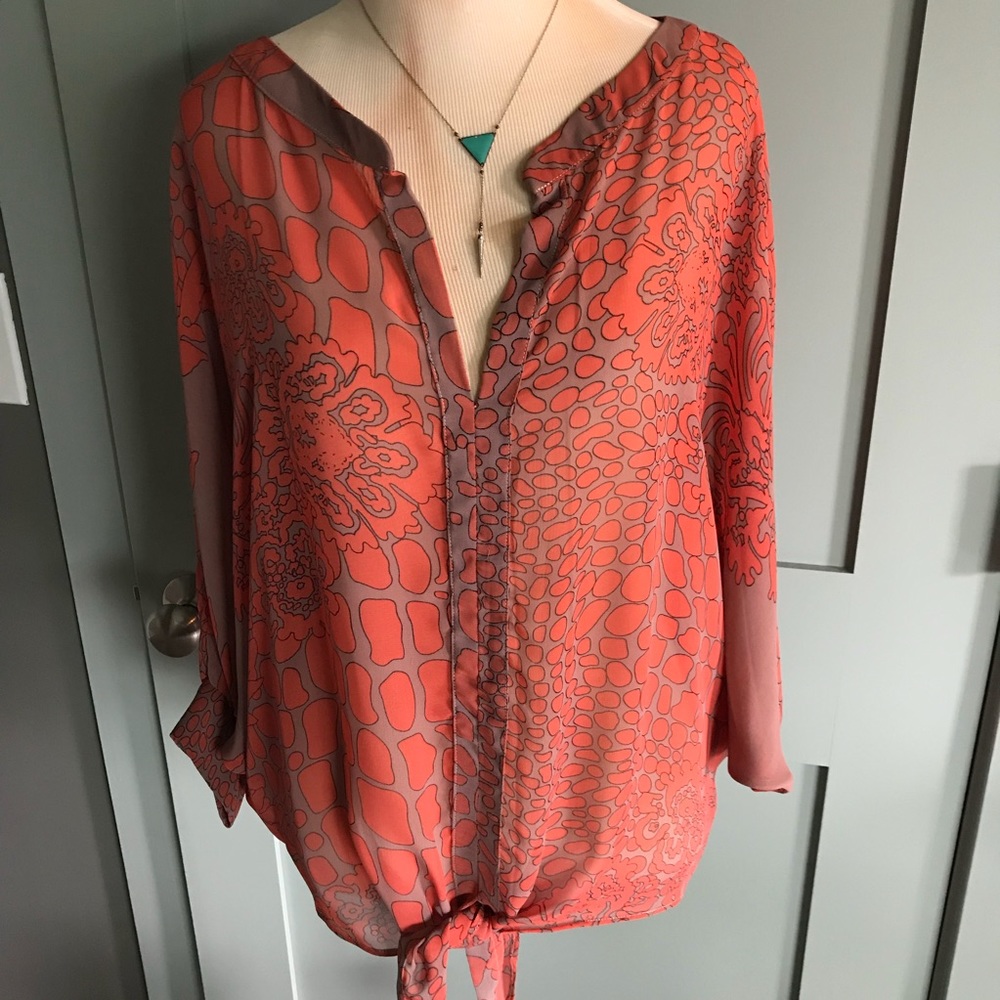 Beautiful Shear blouse